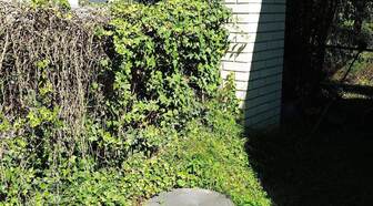 Kliknutím zvětšíte 18